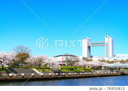 春の名古屋市、満開の桜とセンチュリーホールの風景 76850813