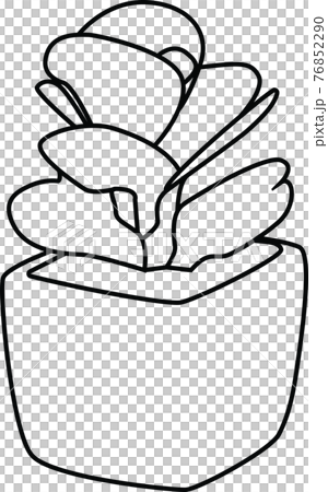 Succulent line drawing simple style icon vector 76852290