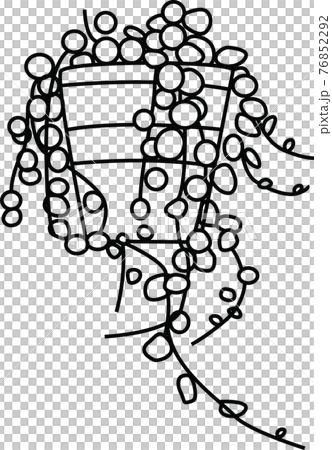 Line drawing style illustration of succulents 76852292