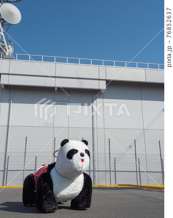 パンダの乗り物の写真素材