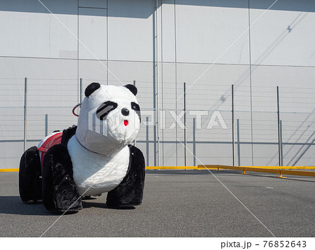 パンダの乗り物の写真素材