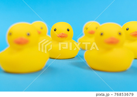 yellow rubber ducks on a blue background. Minimal design. selective focus yellow rubber ducks on a blue background. Minimal design. selective focus 76853679