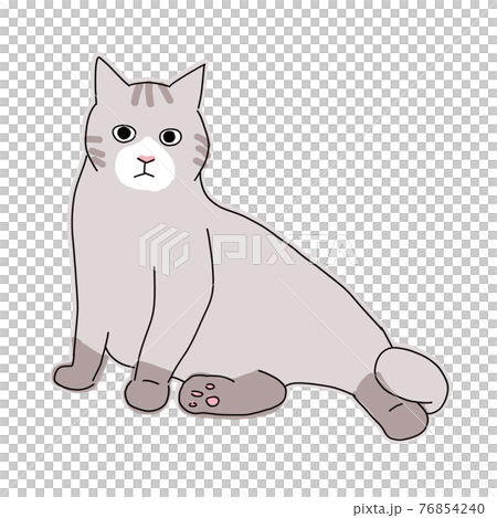 床に座ってリラックスしているグレーの猫 76854240