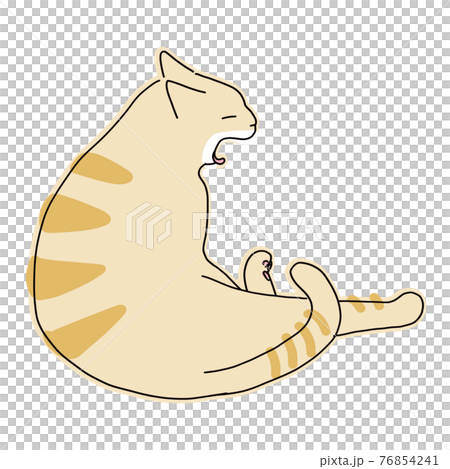あくびをしている茶トラの猫の全身イラスト あくびをしている茶トラの猫の全身イラスト 76854241