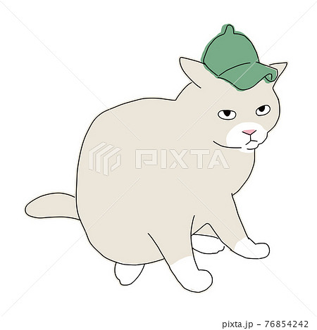 帽子をかぶっている猫の全身のイラストのイラスト素材