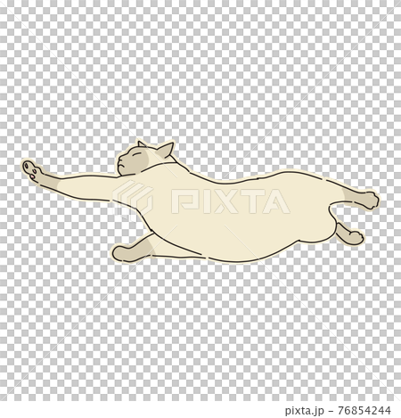 Full-body illustration of a Siamese cat lying on the floor and stretching Full-body illustration of a Siamese cat lying on the floor and stretching 76854244