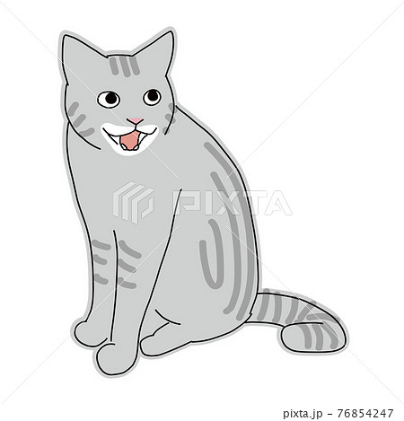 ニャーと鳴くアメリカンショートヘアの猫の全身イラストのイラスト素材