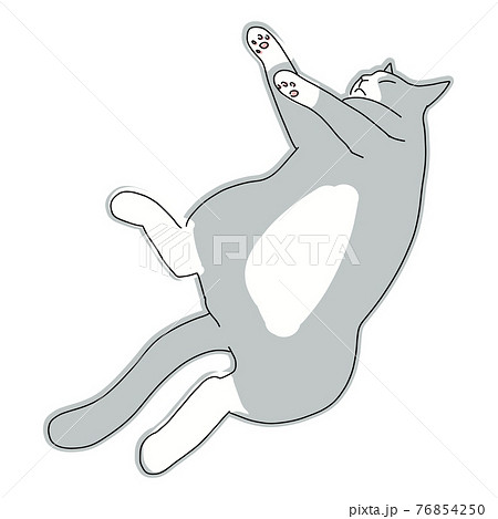 床に転がってリラックスしている猫の全身イラストのイラスト素材