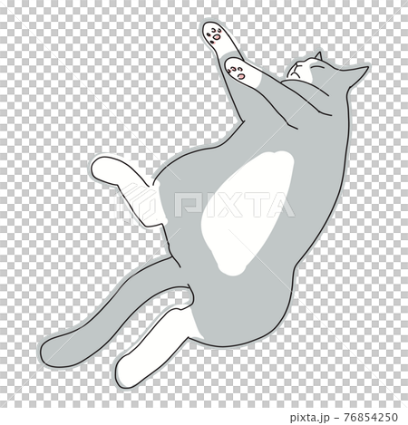 Full-body illustration of a cat lying on the floor and relaxing Full-body illustration of a cat lying on the floor and relaxing 76854250