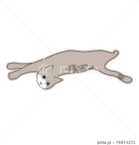 床に寝転びながら振り返る猫の全身イラストのイラスト素材