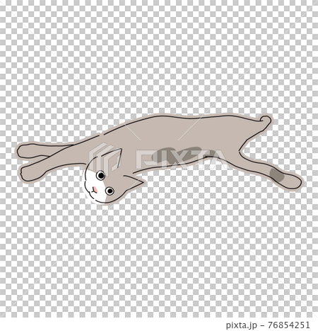 Full-body illustration of a cat looking back while lying on the floor Full-body illustration of a cat looking back while lying on the floor 76854251