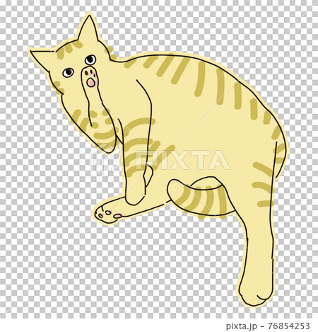 毛繕いをしている茶虎の猫の全身イラスト 76854253