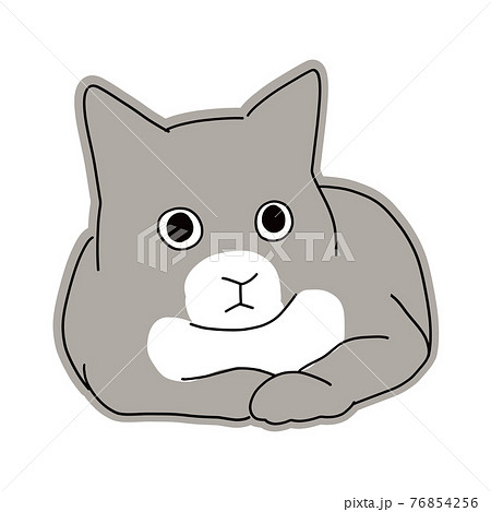 香箱座りをする猫の正面からの全身イラストのイラスト素材