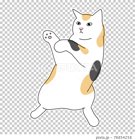 站立和戰鬥姿勢的印花布貓的全身插圖 站立和戰鬥姿勢的印花布貓的全身插圖 76854258