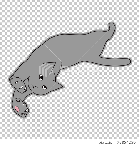 一隻黑貓躺在地板上伸展的全身圖 一隻黑貓躺在地板上伸展的全身圖 76854259