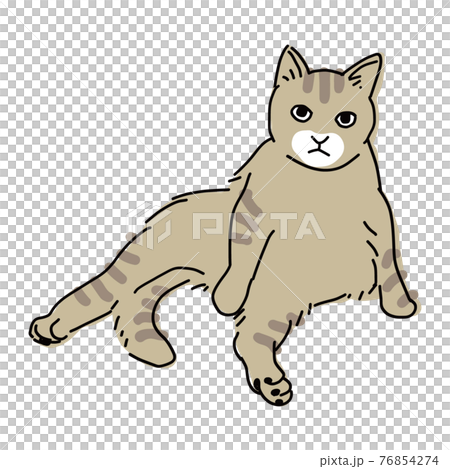 Full-body illustration of a cat sitting uncle Full-body illustration of a cat sitting uncle 76854274