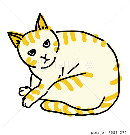 丸まっている茶トラの猫のイラストのイラスト素材 丸まっている茶トラの猫のイラストのイラスト素材