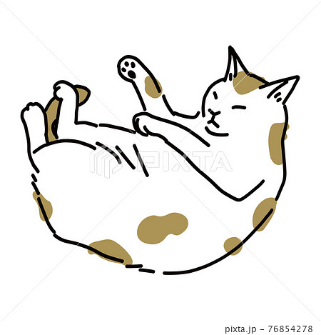 熟睡しているぶち猫の全身イラストのイラスト素材