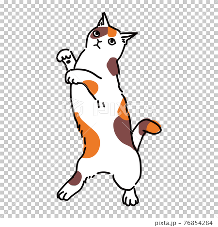 Full-body illustration of a dancing calico cat Full-body illustration of a dancing calico cat 76854284