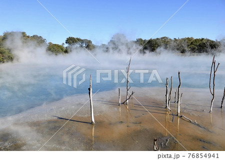 公園内の地熱による湯気が立ち昇る温泉【ニュージーランド・ロトルア】 76854941