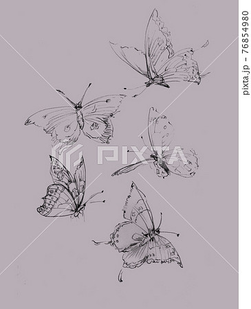 透明水彩 水彩画 花 76854980