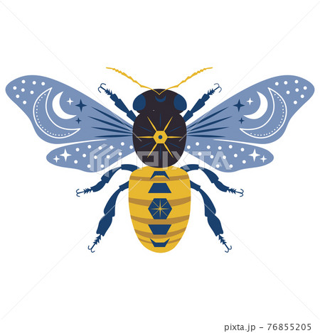 Cosmic bee with celestial illustration isolated. 76855205