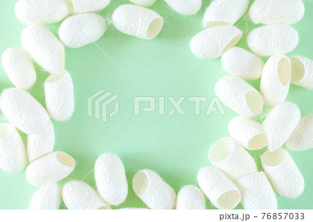 White silkworm cocoons for production silk thread and silk fabric White silkworm cocoons for production silk thread and silk fabric 76857033