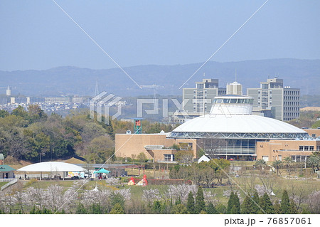 愛・地球博記念公園内のサクラ（愛知県児童総合センター モリコロパーク 愛知県 長久手市）の写真素材 [76857061] - PIXTA