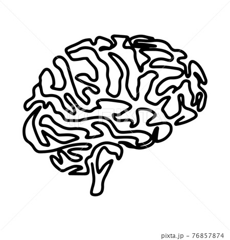 Brain icon vector sign isolated on white background. Brain icon vector sign isolated on white background. 76857874