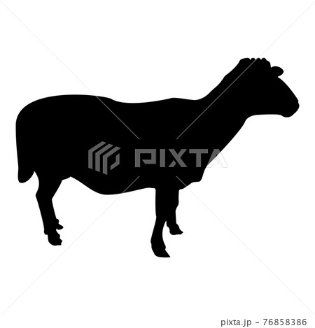 Silhouette sheep ewe domestic livestock farm Silhouette sheep ewe domestic livestock farm 76858386