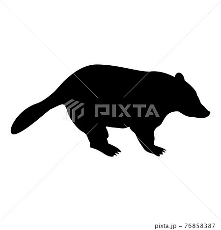 Silhouette badger animal wild meles taxus  Silhouette badger animal wild meles taxus  76858387