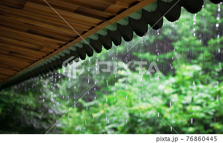 植物 軒下 雨季 76860445