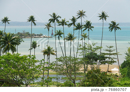 ビンタン島のリゾート地に茂るヤシの木と海 インドネシアの写真素材