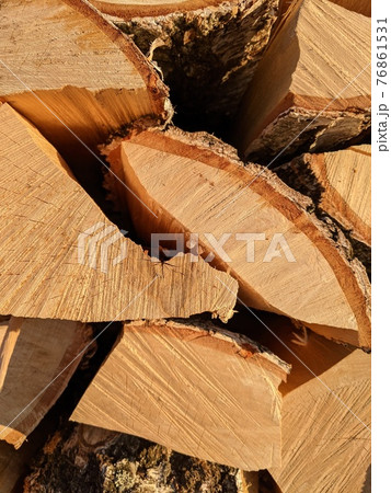 Brown wooden log in close up Brown wooden log in close up 76861531