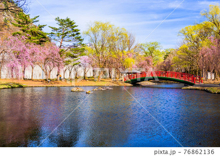 春の湯沢中央公園 春の湯沢中央公園 76862136