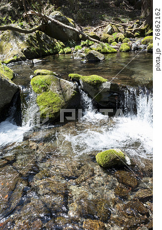 栃木県那須の渓流の流れと岩についた苔 76862162