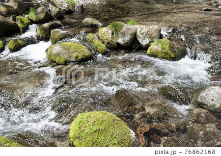 栃木県那須の渓流の流れと岩についた苔 76862168