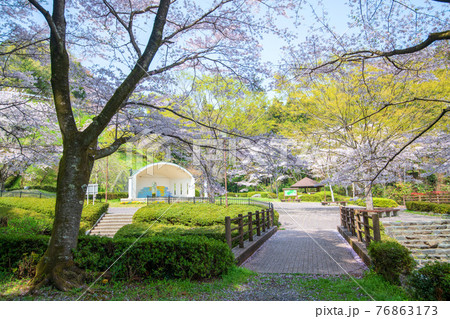 里山の春　雀川ダム湖公園　野外ステージ 76863173