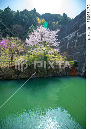 里山の春 エメラルドグリーンの雀川ダム湖公園 里山の春 エメラルドグリーンの雀川ダム湖公園 76863179