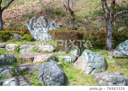 里山の春　雀川砂防ダム湖　湖畔 76863326