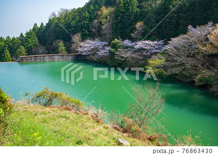 里山の春　エメラルドグリーンの雀川砂防ダム湖 76863430