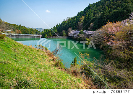 里山の春　エメラルドグリーンの雀川砂防ダム湖 76863477