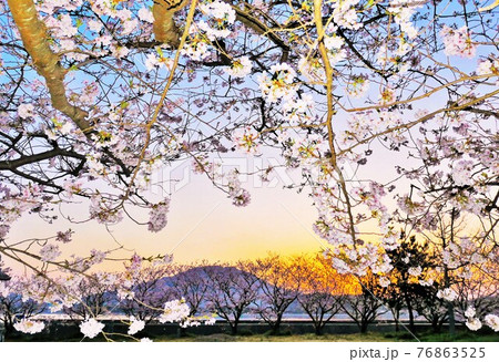 春の糸島（福岡県） 76863525