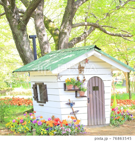 花の花壇と森の中の小屋の写真素材