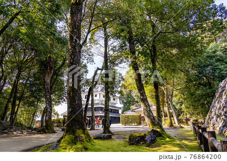 山口県岩国市　山頂の岩国城へ来た観光客 76864200