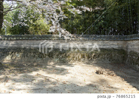 春の大樹寺　松平八代墓の築地塀 76865215