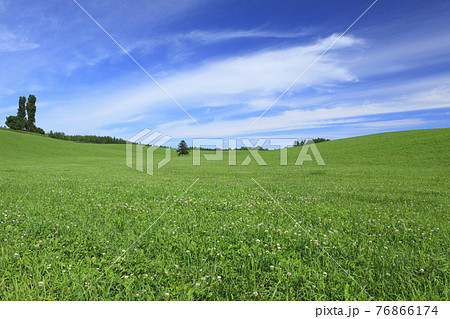 草原 76866174