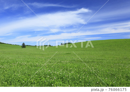 草原 76866175