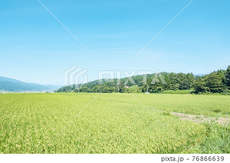 夏の田園風景（長野県飯山市） 76866639