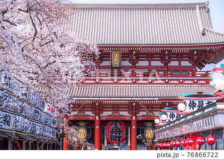 《東京都》桜満開・浅草仲見世通り 《東京都》桜満開・浅草仲見世通り 76866722